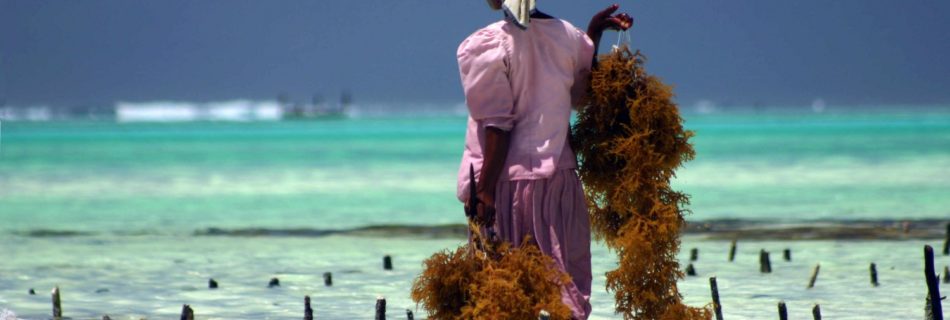 Voyage de noces à Zanzibar